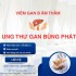 VIÊM GAN B: KẺ THÙ THẦM KẶNG CỦA LÁ GAN