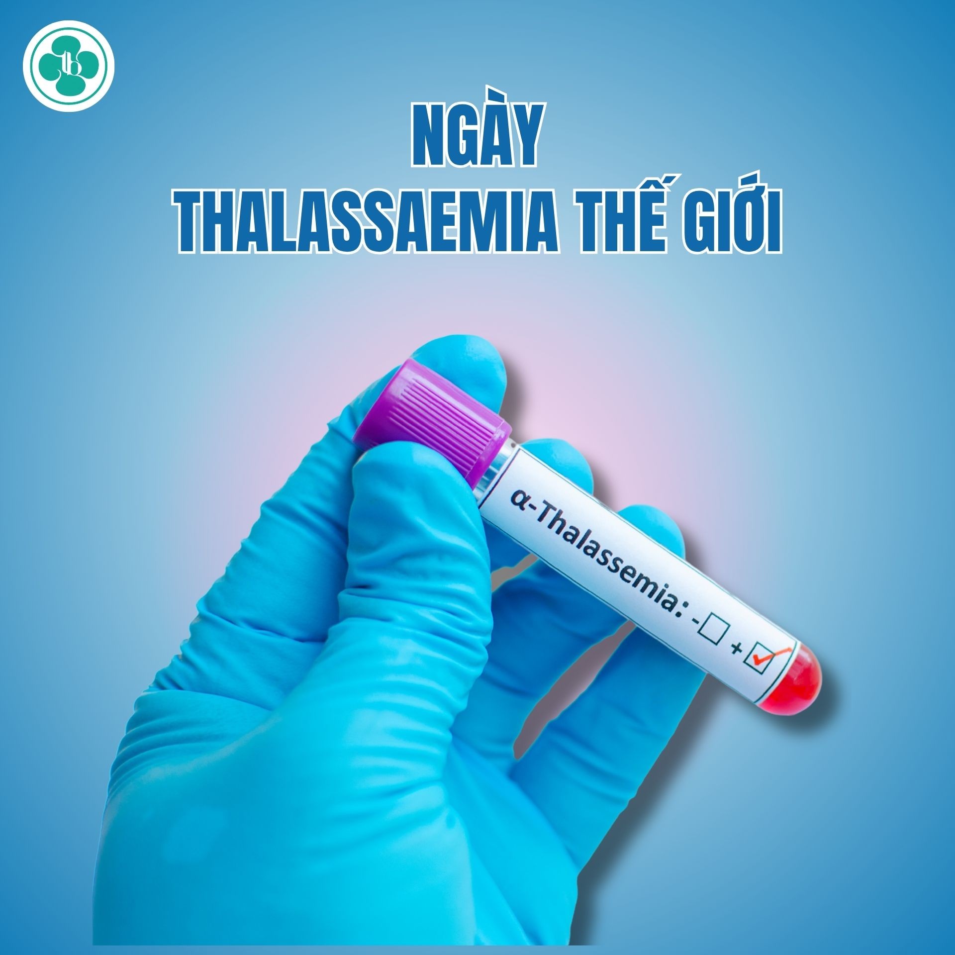 HƯỞNG ỨNG NGÀY THALASSEMIA THẾ GIỚI 08/5